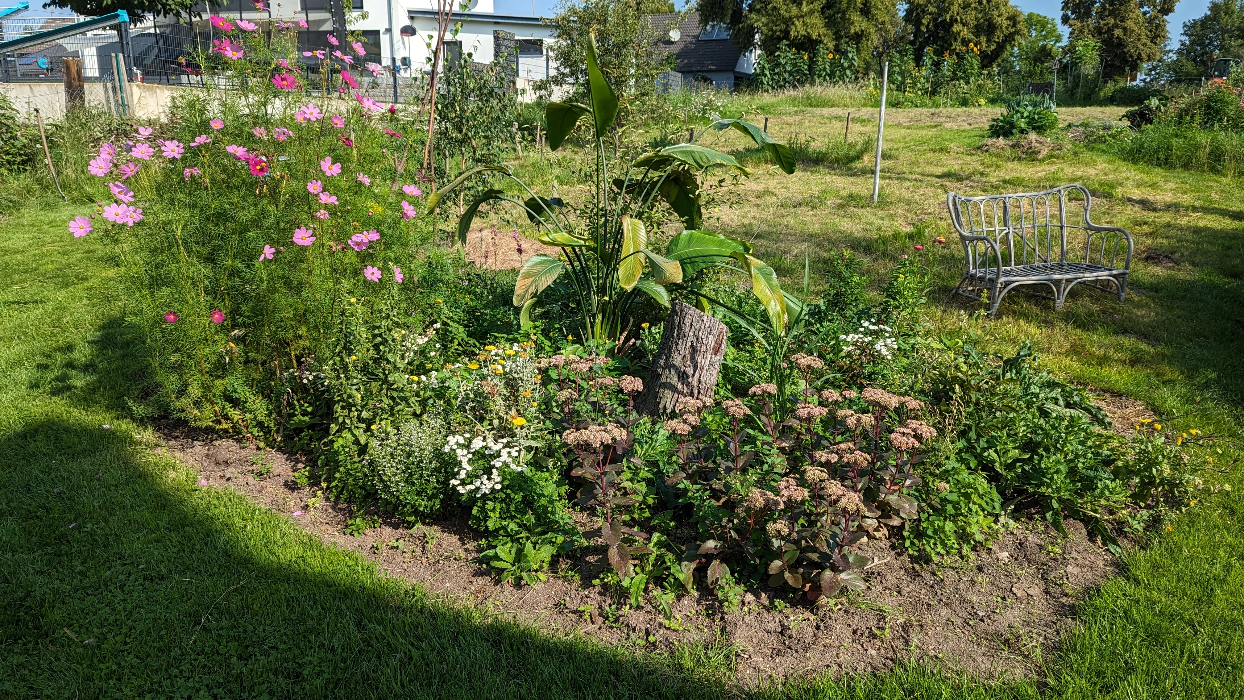 Blumenbeet links